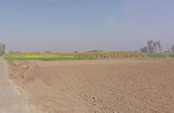 Bhainsa, Uttar Pradesh 250401, India