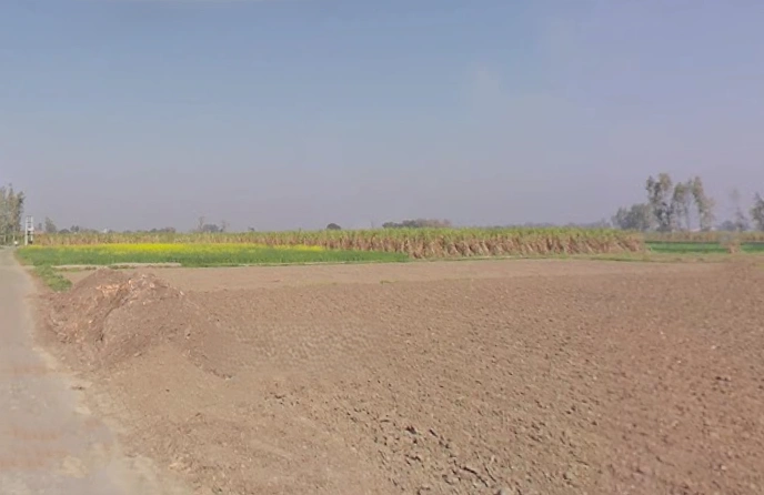 Bhainsa, Uttar Pradesh 250401, India