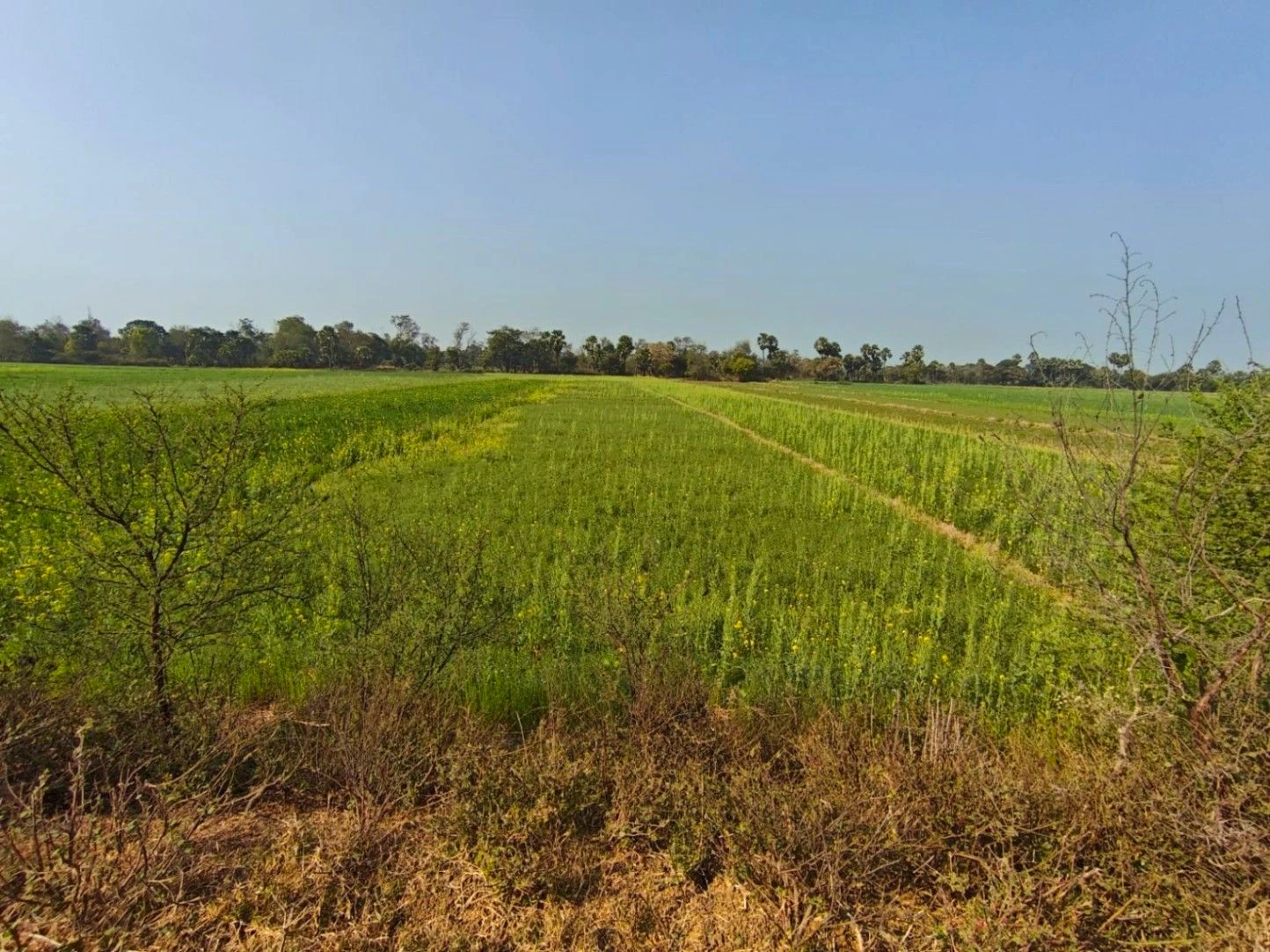 Dudhali, Muzaffarnagar, Uttar Pradesh 251201, India