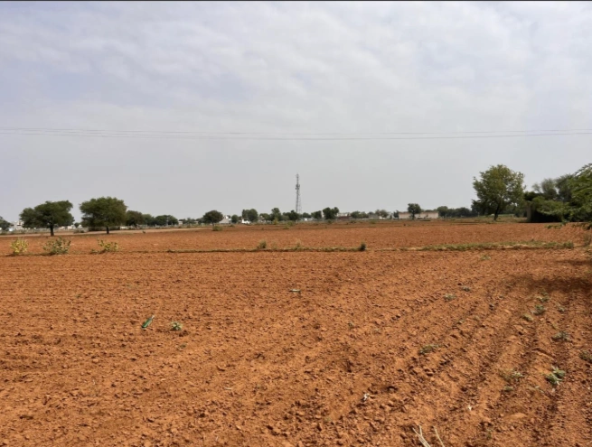 Shahpura, Rajasthan 303103, India