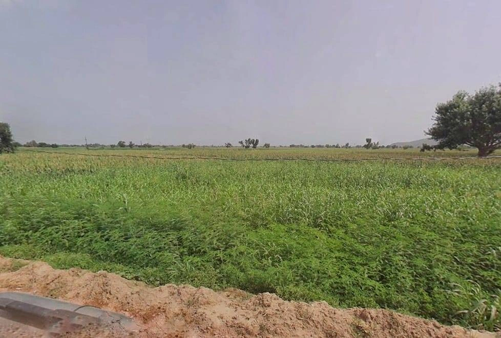 5X3R+R5J, Alipur, Rajasthan 321615, India
