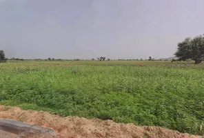 5X3R+R5J, Alipur, Rajasthan 321615, India preview 3