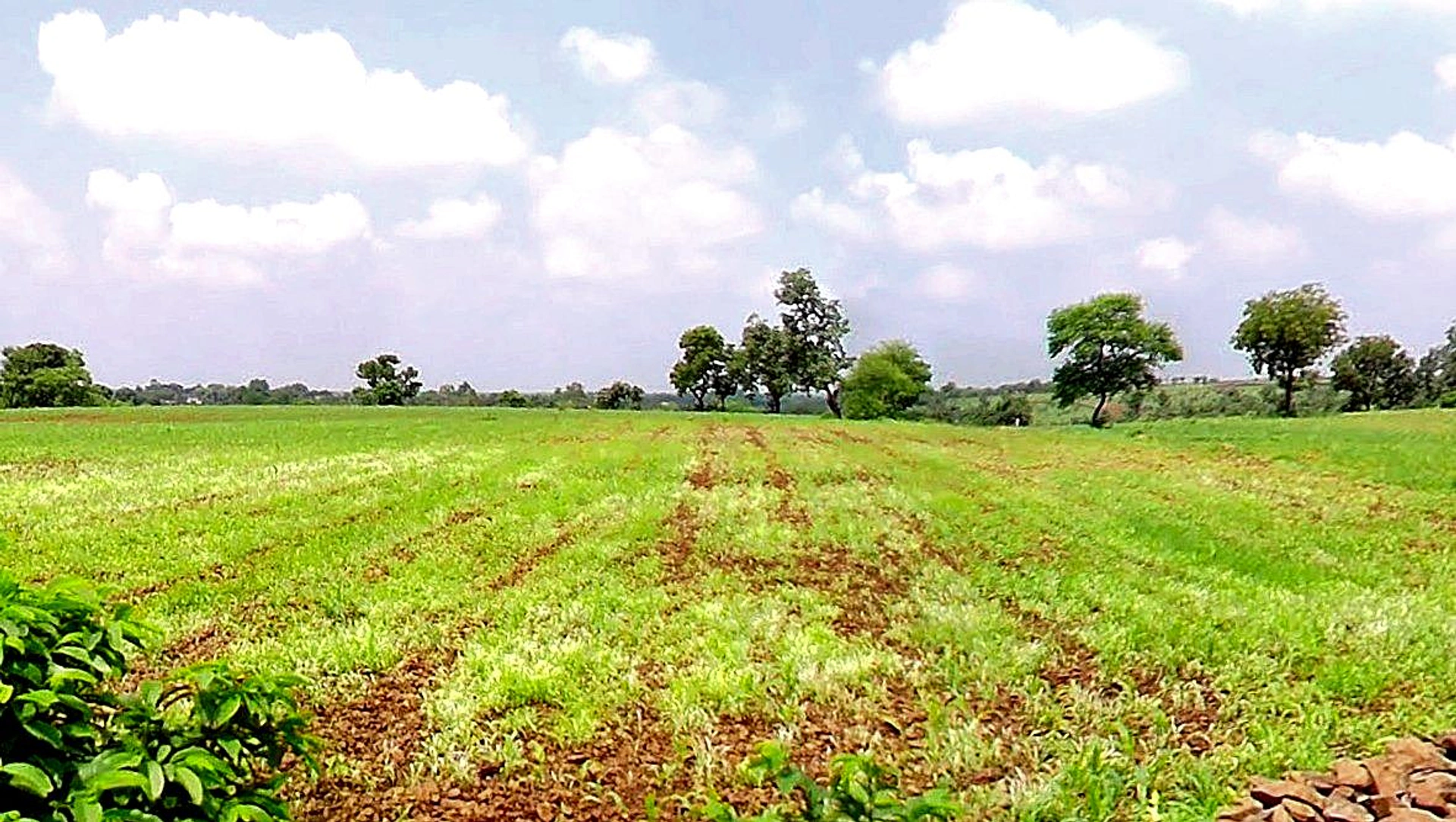 It Kheda, Madhya Pradesh, India