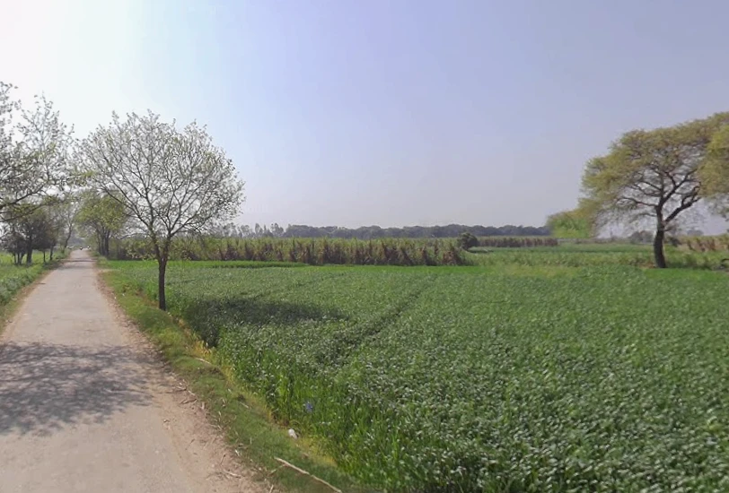 Mawana - Phalauda Rd, Mawana, Uttar Pradesh 250401, India