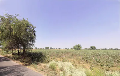 Gigo Rani, Haryana 125110, India preview 2