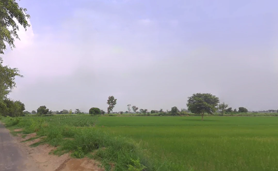 Dabwali, Haryana 125104, India