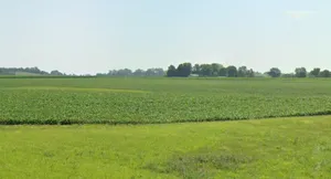 Gohinda, Madhya Pradesh 475220, India preview 2