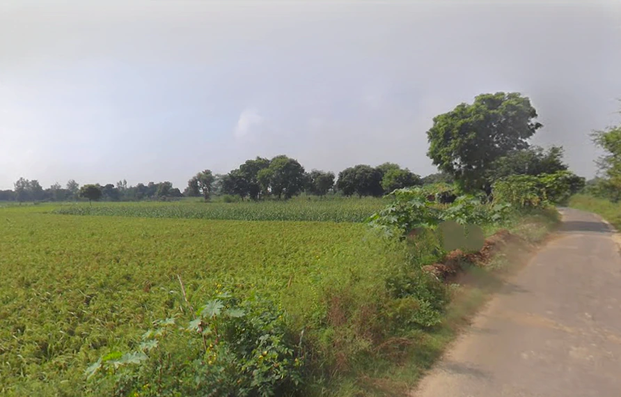 Atrauli, Uttar Pradesh, India