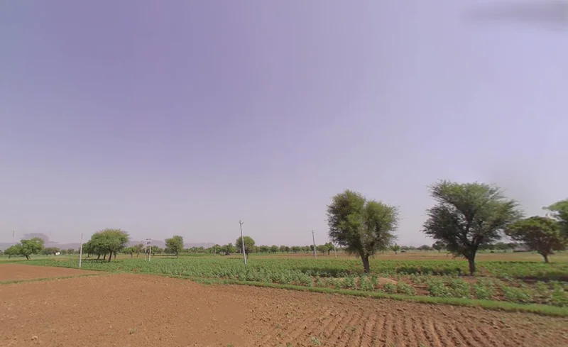 Satnali, Haryana 123024, India preview 2