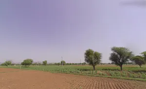 Satnali, Haryana 123024, India preview 2