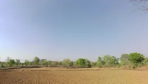 Rajnandgaon, Chhattisgarh 491441, India preview 2
