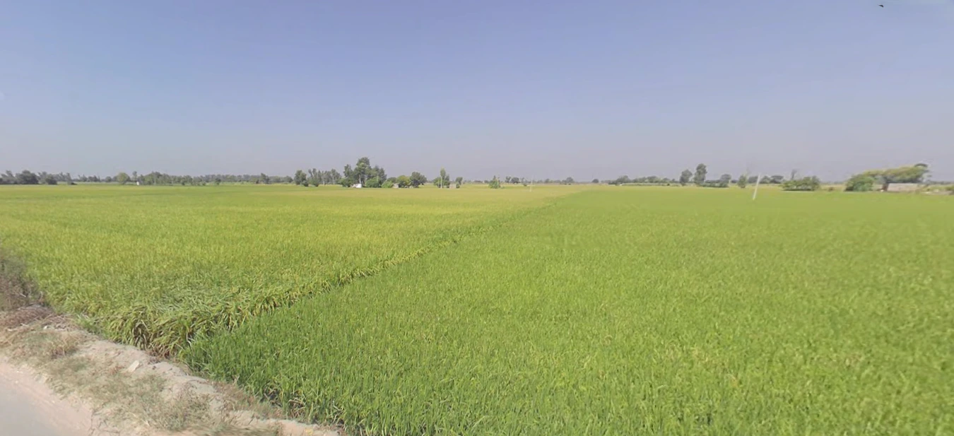 Joga, Punjab 151510, India