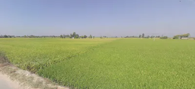 Joga, Punjab 151510, India preview 2