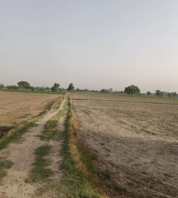 Amritsar, Punjab, India preview 3