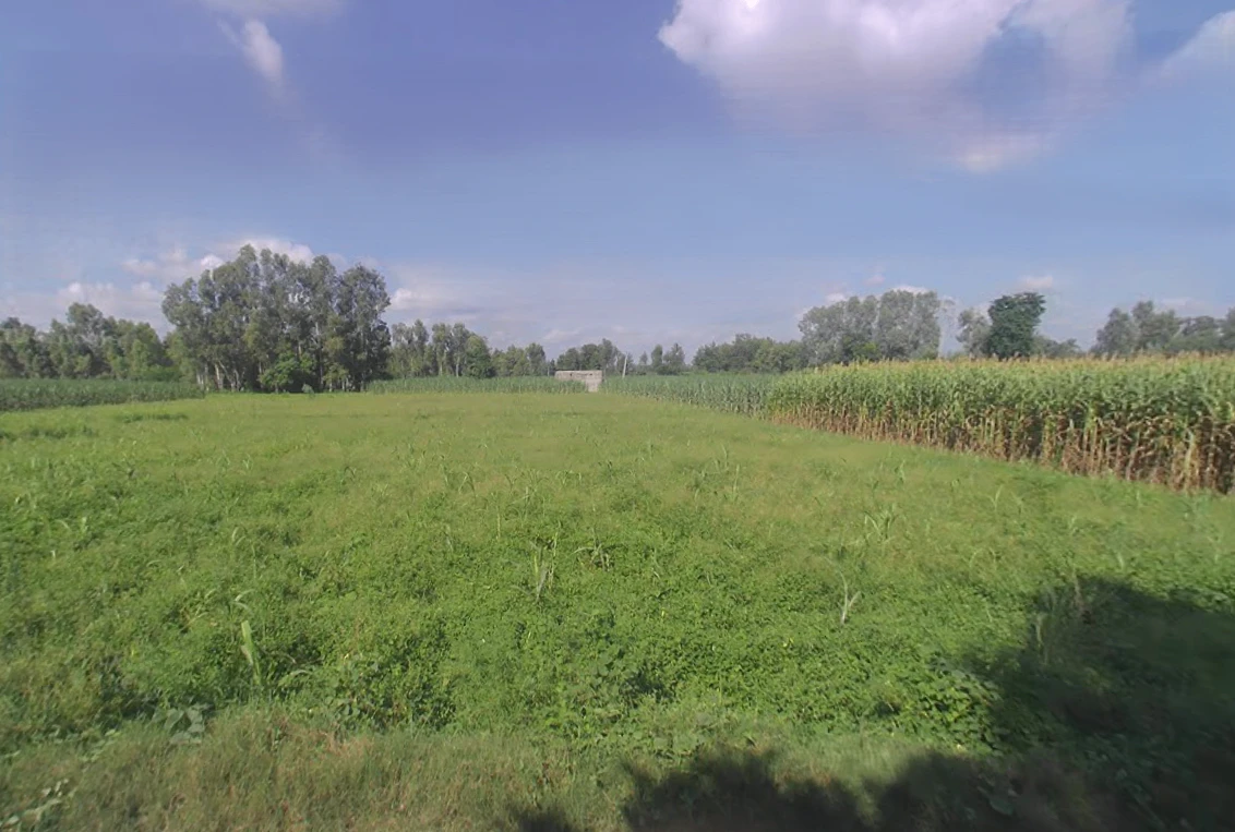 Bijopura, Uttar Pradesh 251307, India