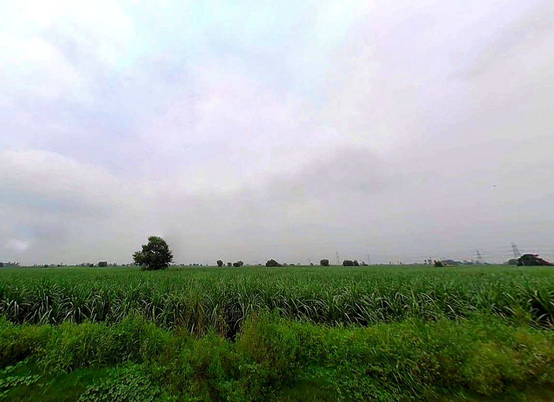 78CP+R7X, Durganpur, Uttar Pradesh 247771, India