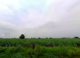 78CP+R7X, Durganpur, Uttar Pradesh 247771, India preview 2