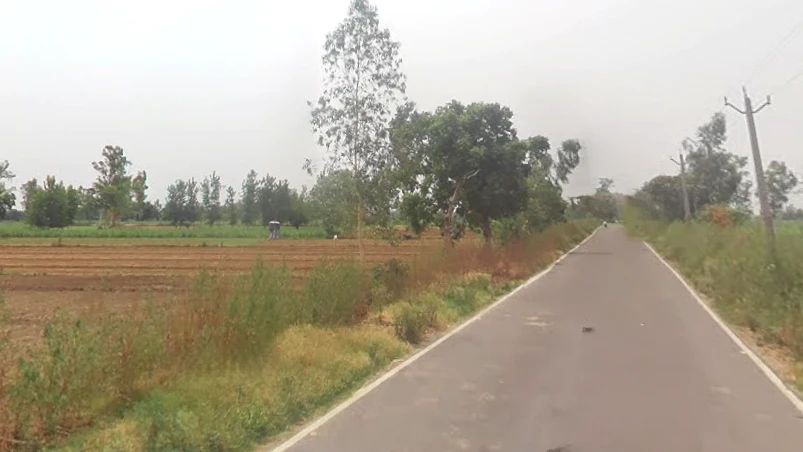 Nipaniya, Uttar Pradesh 244236, India