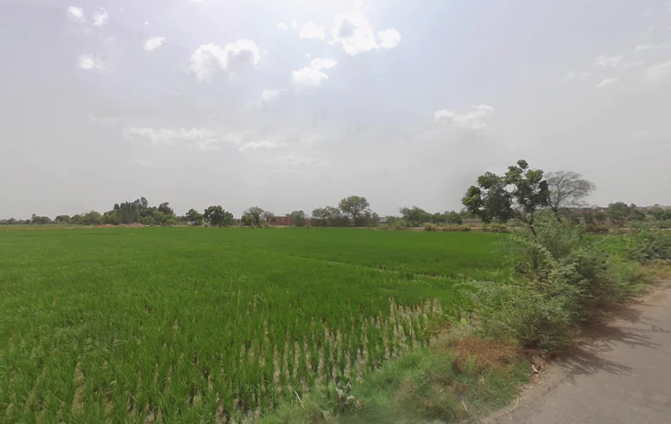 Kokilavana, Uttar Pradesh 281403, India