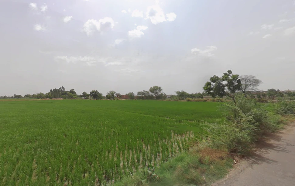 Kokilavana, Uttar Pradesh 281403, India