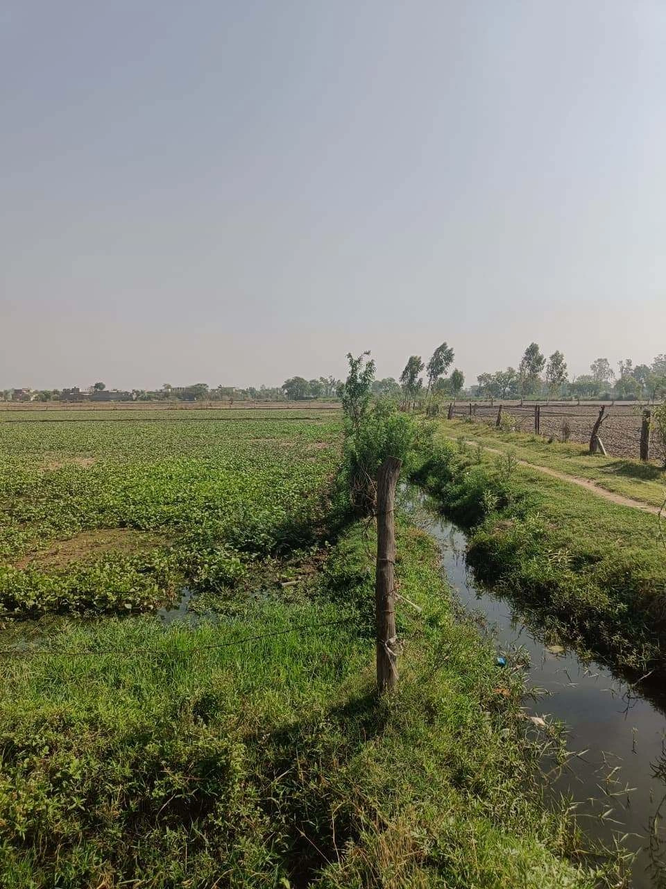 Ajhai Kalan, Uttar Pradesh 281406, India