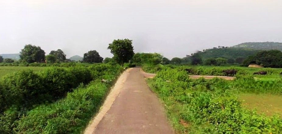 Tanda, Uttar Pradesh 244925, India