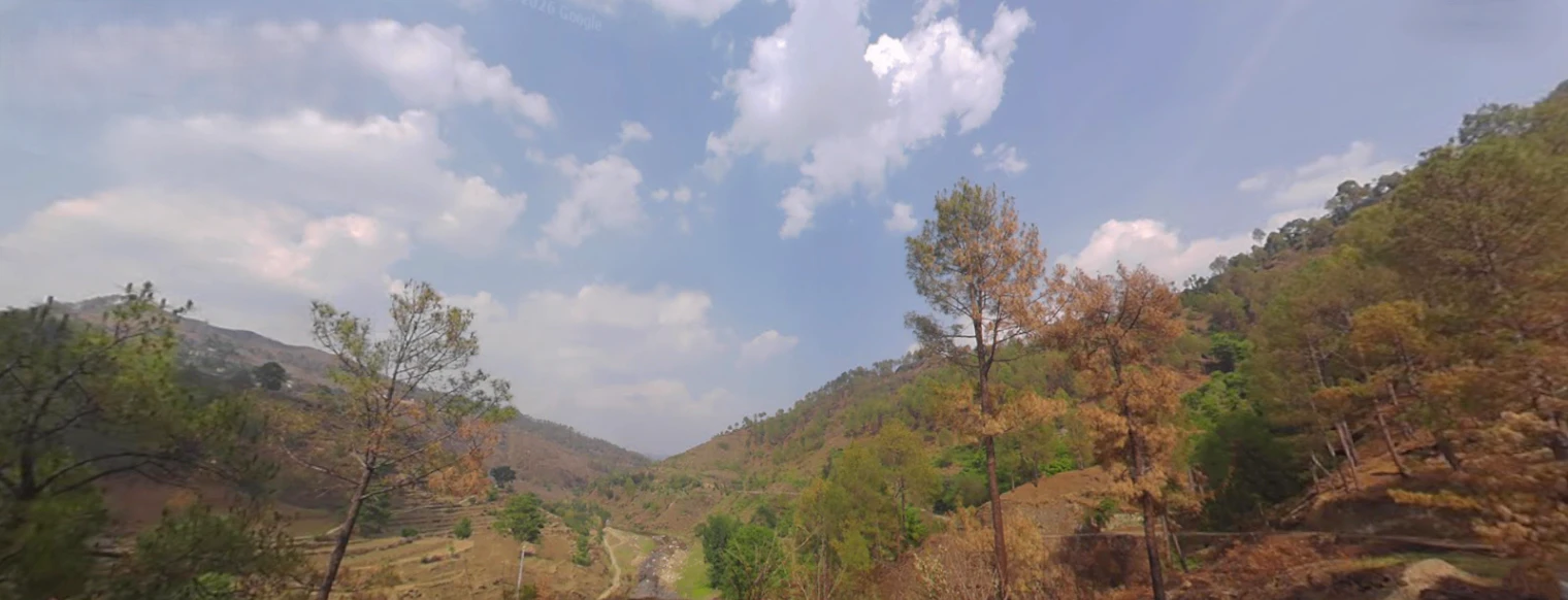 Tani, Uttarakhand 263643, India