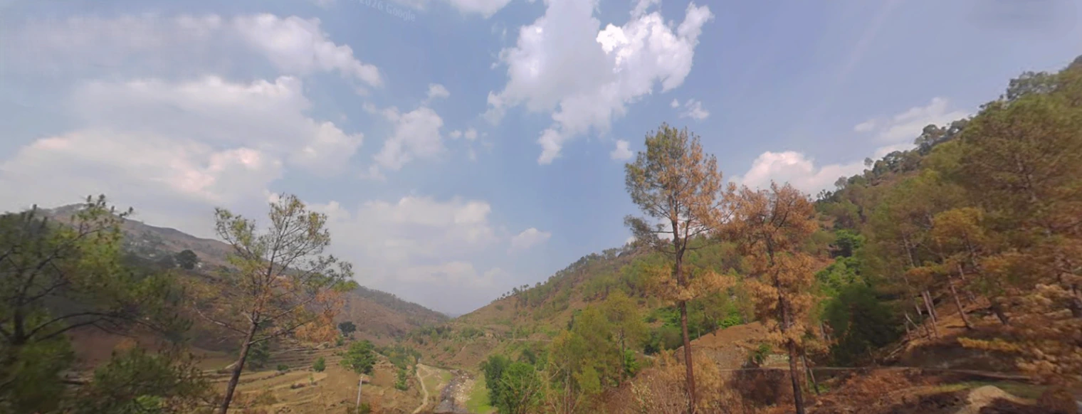 Tani, Uttarakhand 263643, India