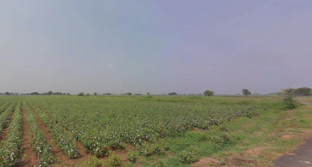 Patana, Gujarat, India