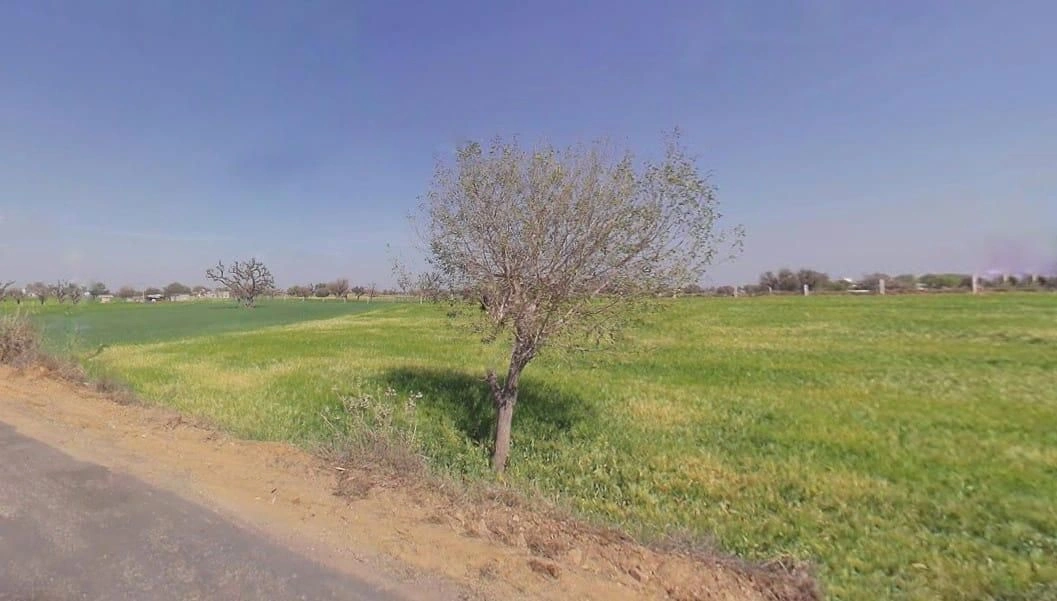 Aloda, Rajasthan 332602, India