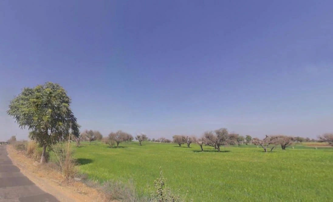 Aloda, Rajasthan 332602, India