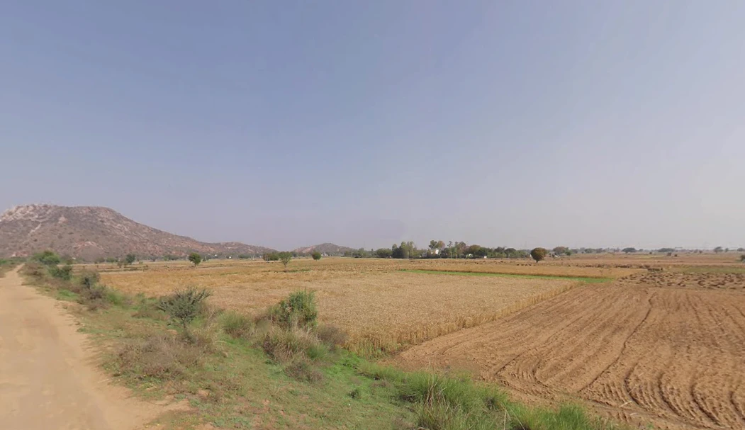 Alapur Jatt, Rajasthan 301411, India