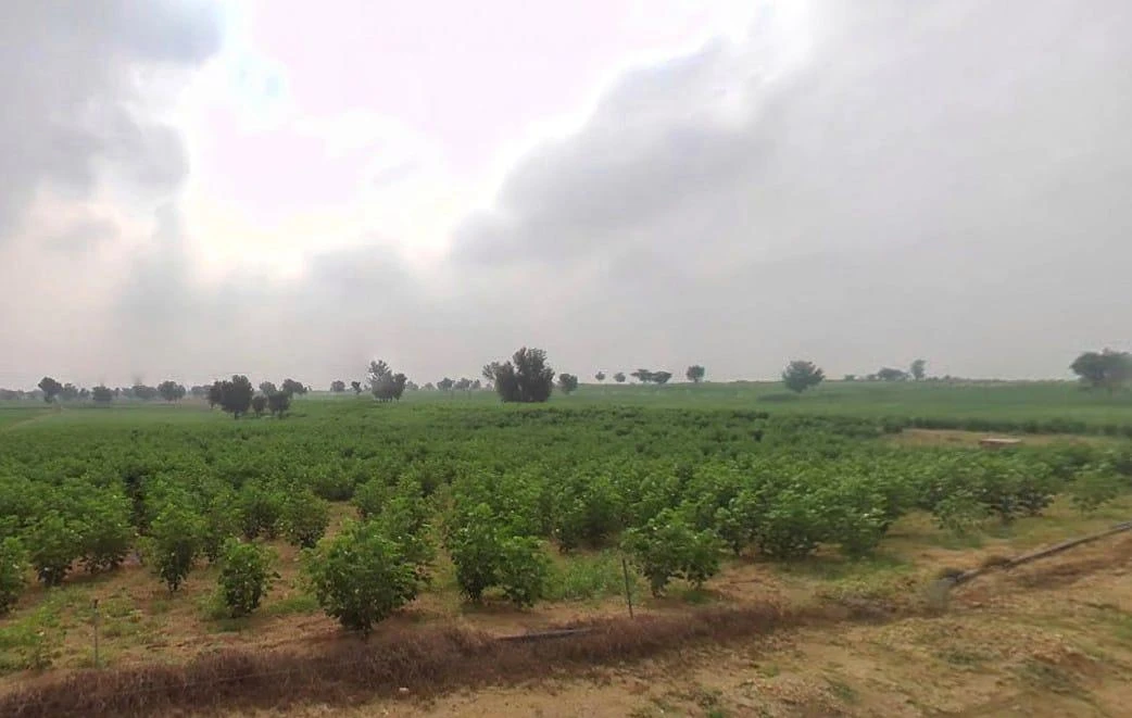 Arjansar, Rajasthan 334604, India