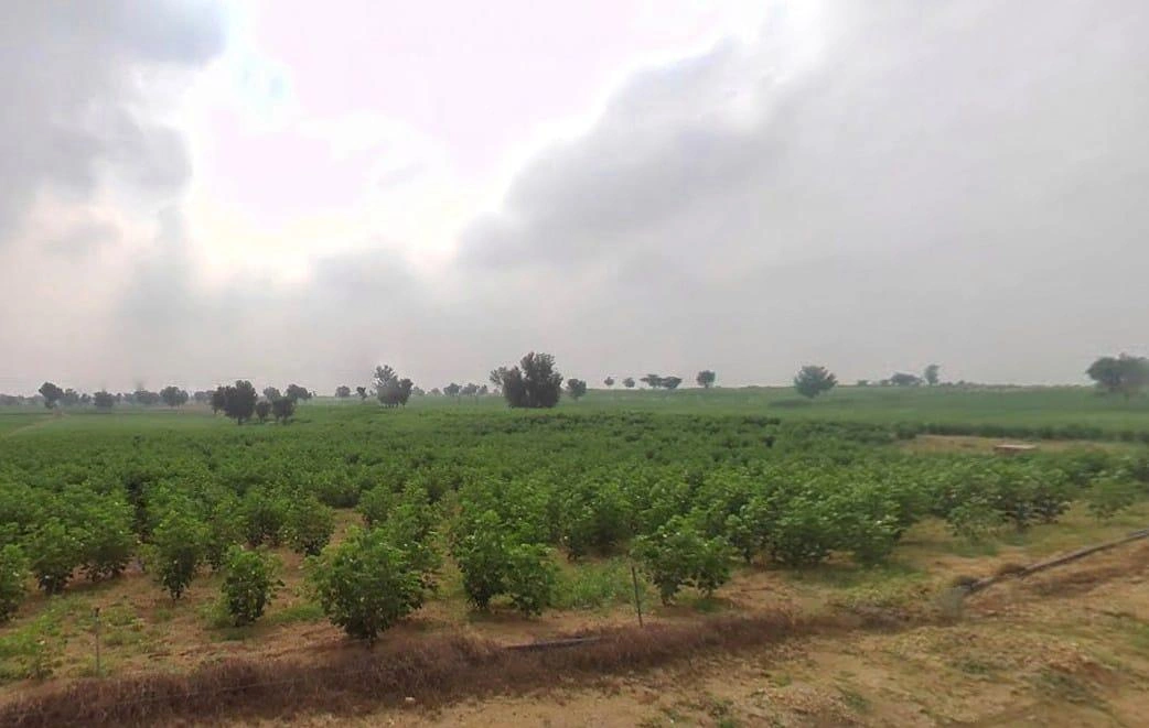 Arjansar, Rajasthan 334604, India