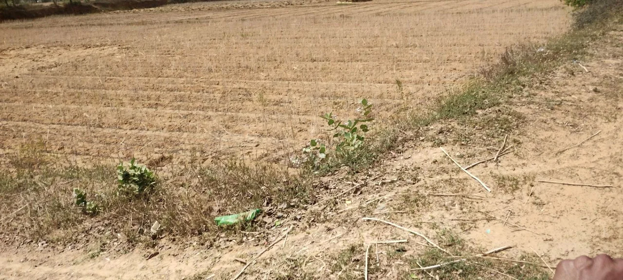 FR48+WH3, Ghat, Rajasthan 301001, India preview 2