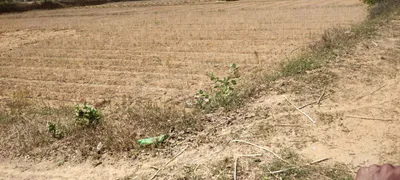 FR48+WH3, Ghat, Rajasthan 301001, India preview 2