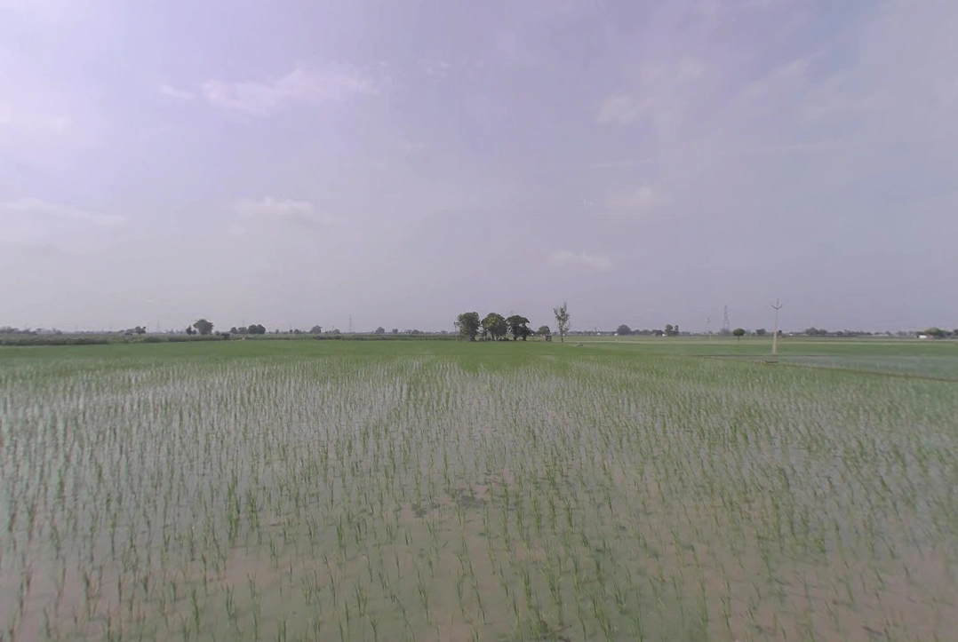 Khatoo, Rajasthan 332602, India