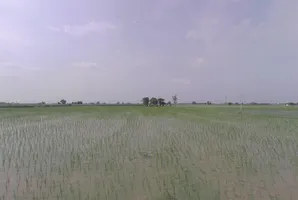Khatoo, Rajasthan 332602, India preview 3