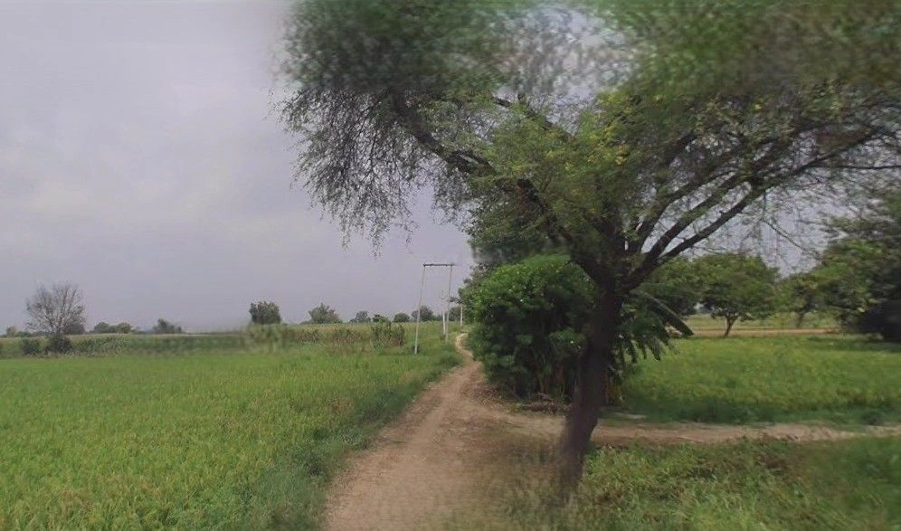 Khachrod, Madhya Pradesh 456224, India preview 3