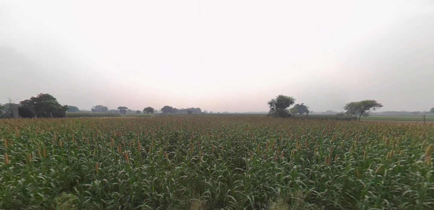 Puranpur, Uttar Pradesh 262122, India preview 3