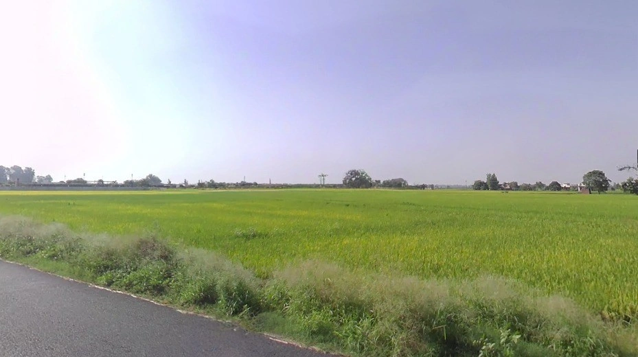 Kodia, Chhattisgarh 491001, India