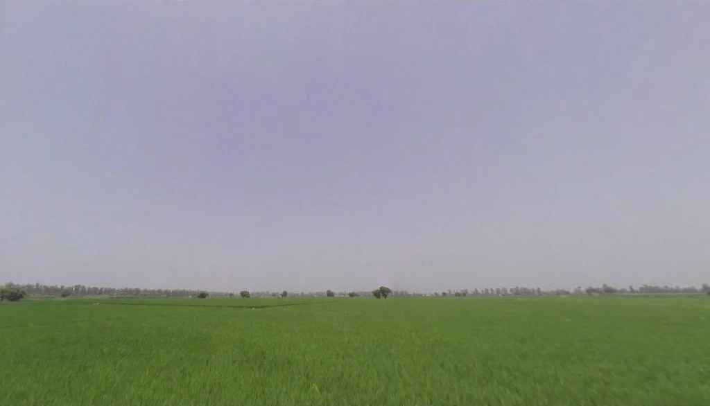 Rakshera, Haryana 132115, India