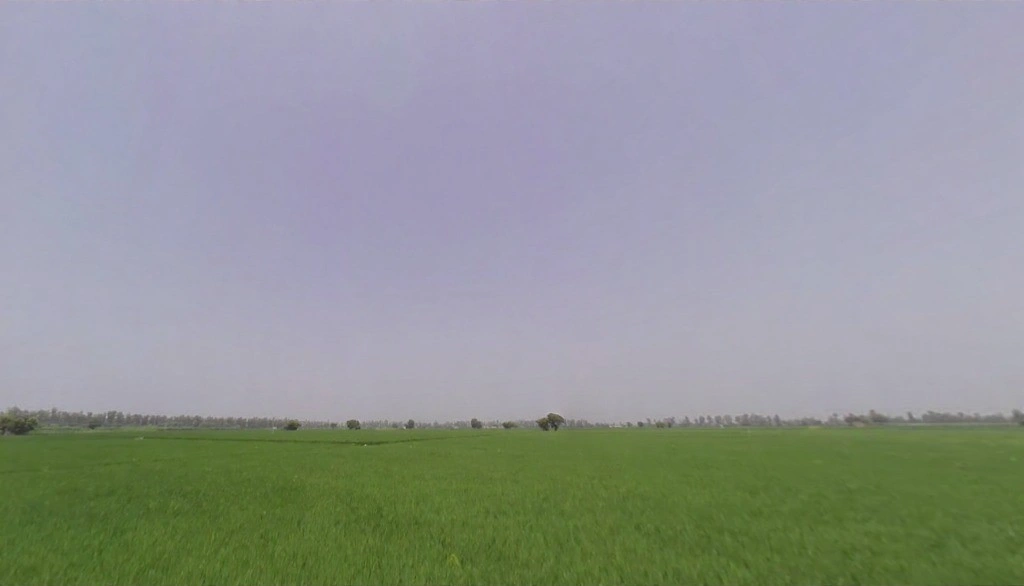 Rakshera, Haryana 132115, India