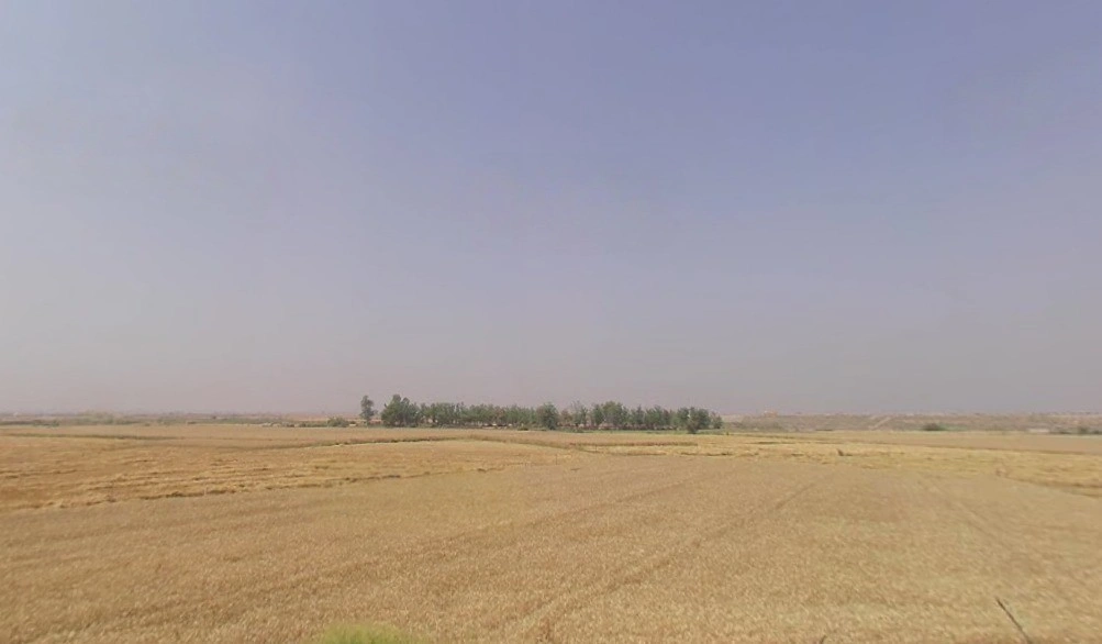 Sector 150, Noida, Uttar Pradesh, India