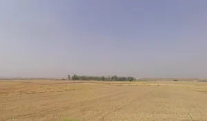 Sector 150, Noida, Uttar Pradesh, India preview 2