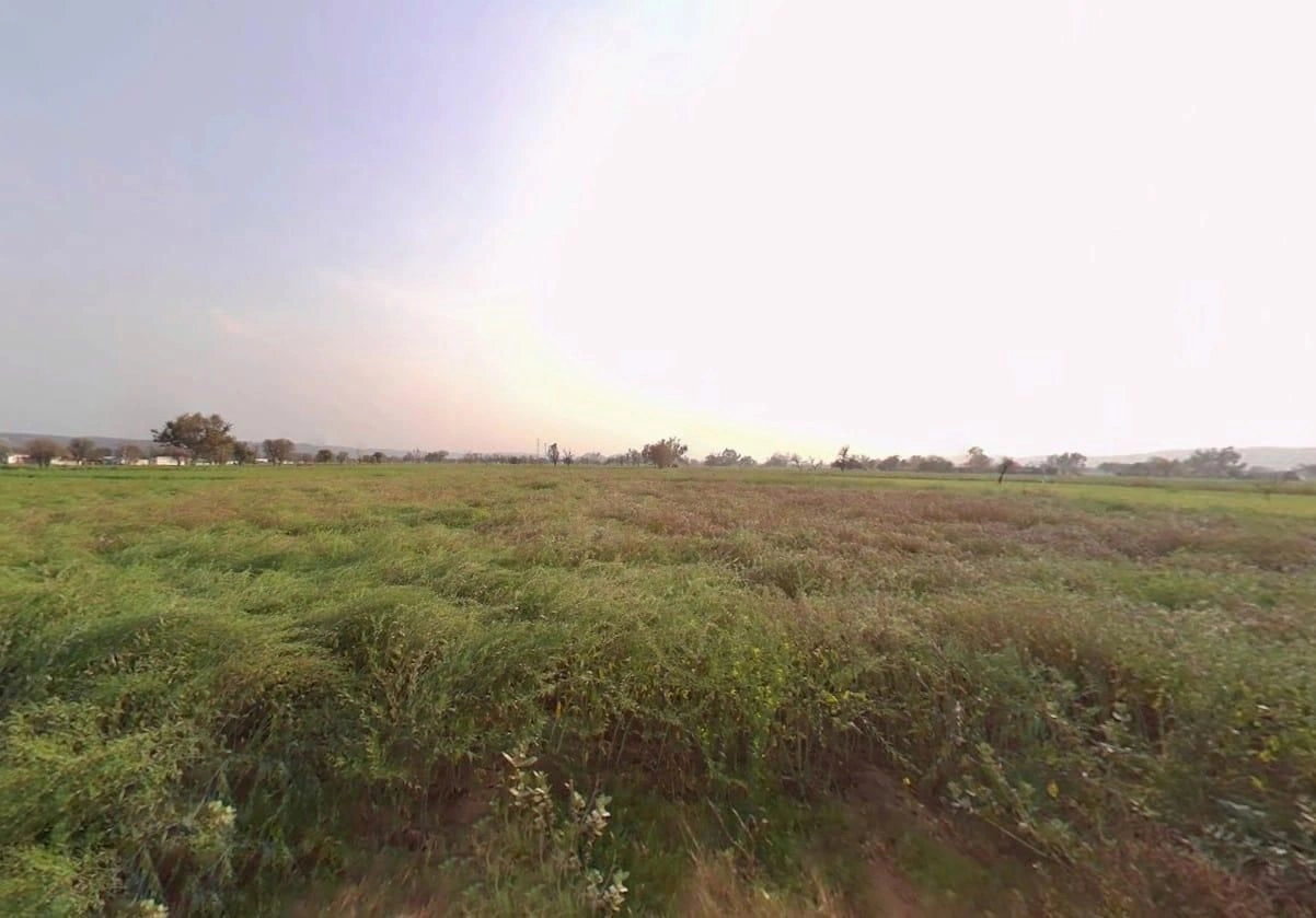 Pali, Rajasthan 301001, India