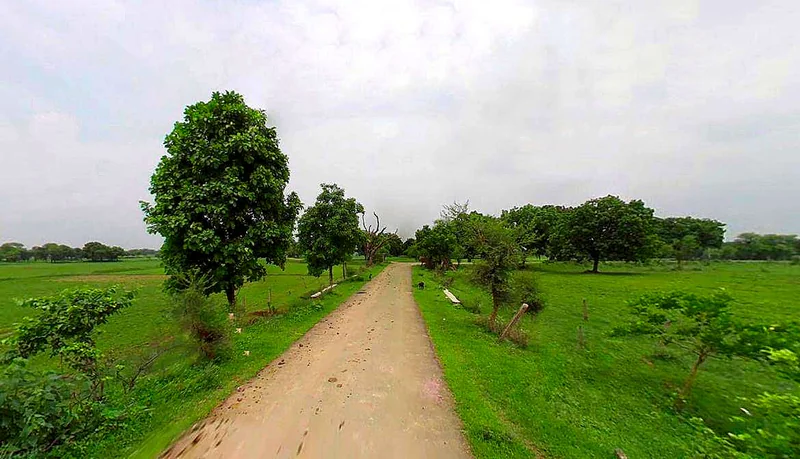 Chaumuhan, Uttar Pradesh 281406, India preview 2