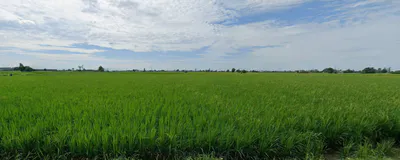 Chohan, Punjab 143149, India preview 3