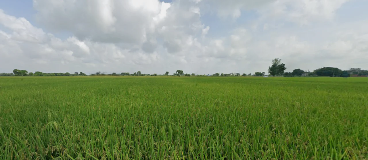 Mallian, Punjab, India preview 2