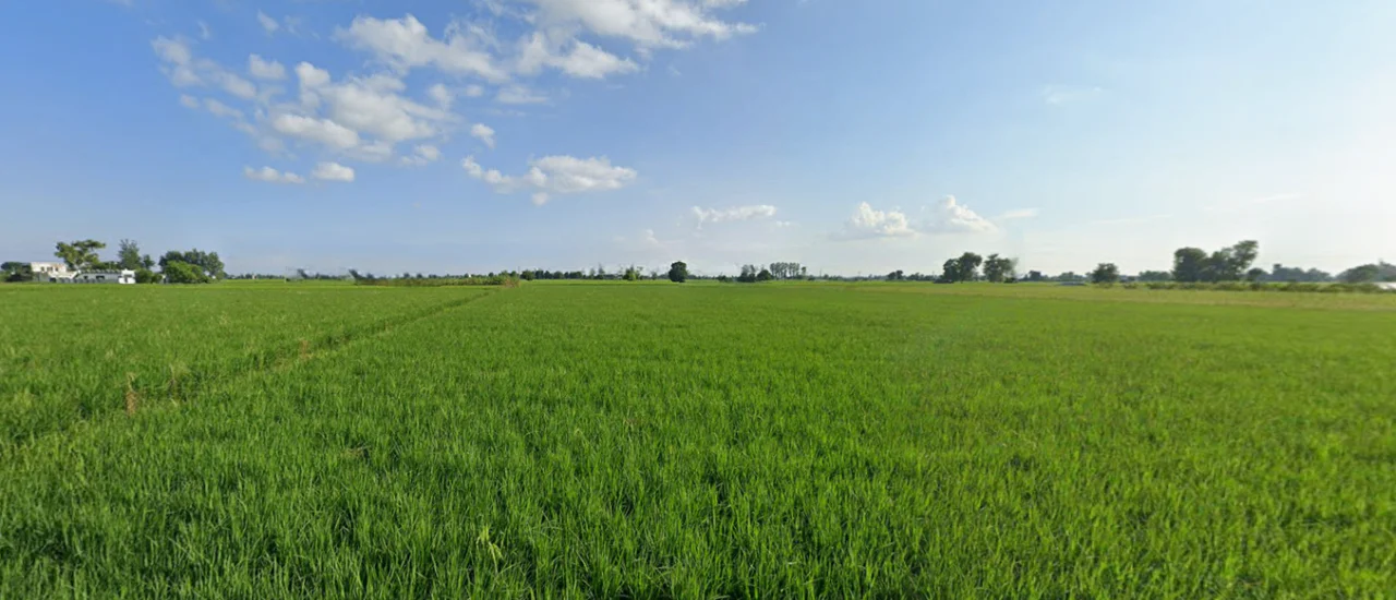 Jandiala, Punjab 143115, India preview 3